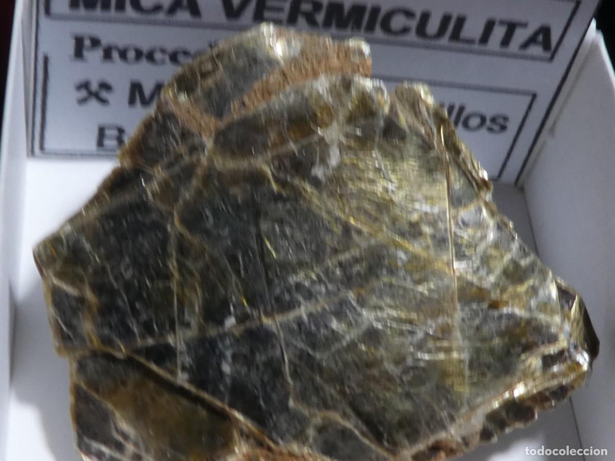 Coleccionismo de minerales: (299) MICA VERMICULITA, BURGUILLOS, BADAJOZ, ESPA&Ntilde;A.