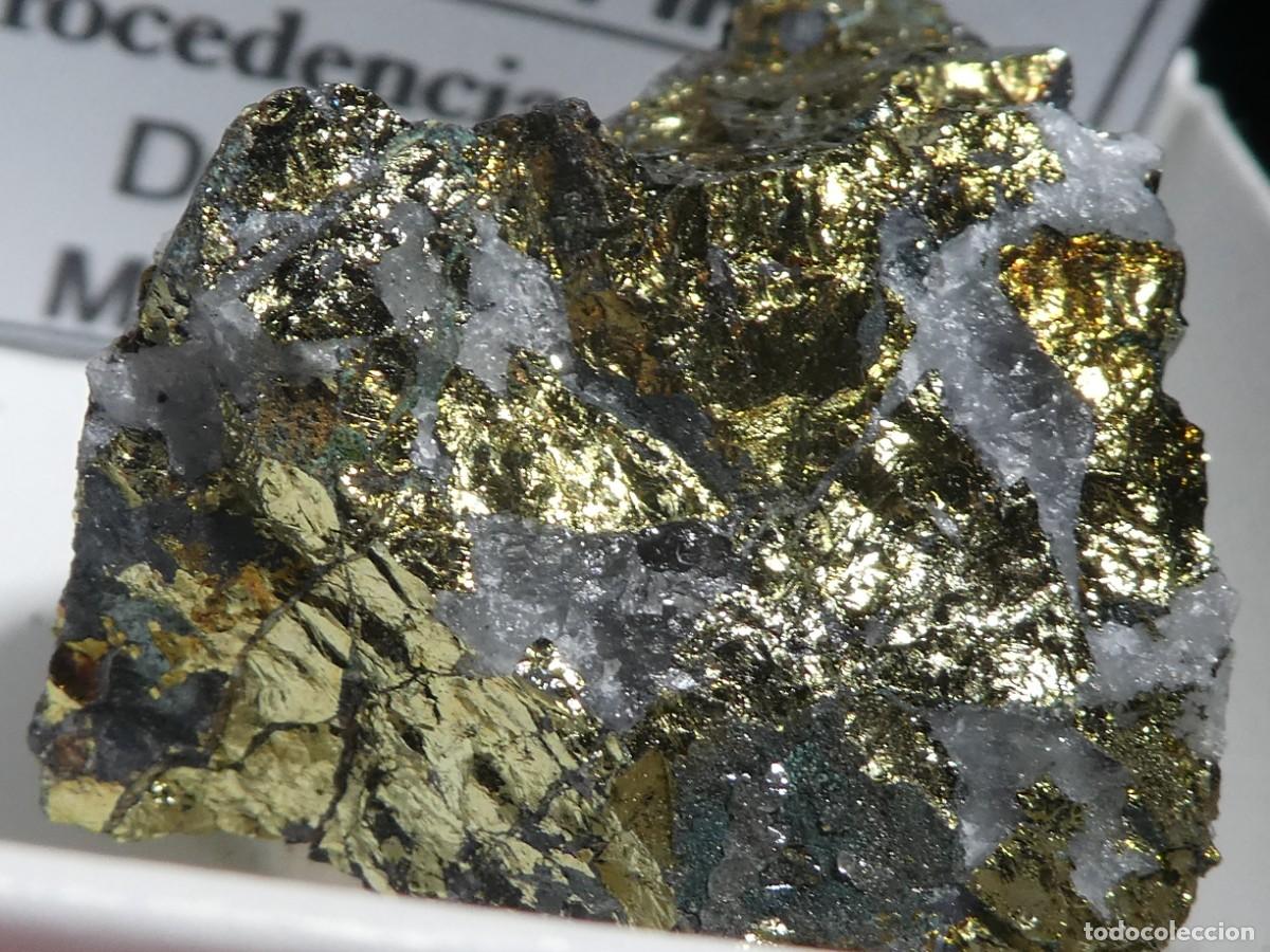 Coleccionismo de minerales: (301) CALCOPIRITA, DR&Acirc;A TAFILALET, MARRUECOS.