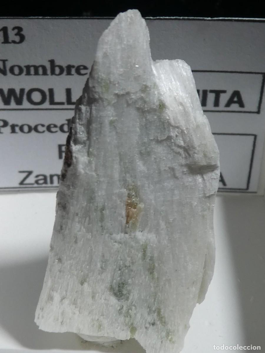 Coleccionismo de minerales: (313) WOLLANSTONITA, FERMOSELLE, ZAMORA.