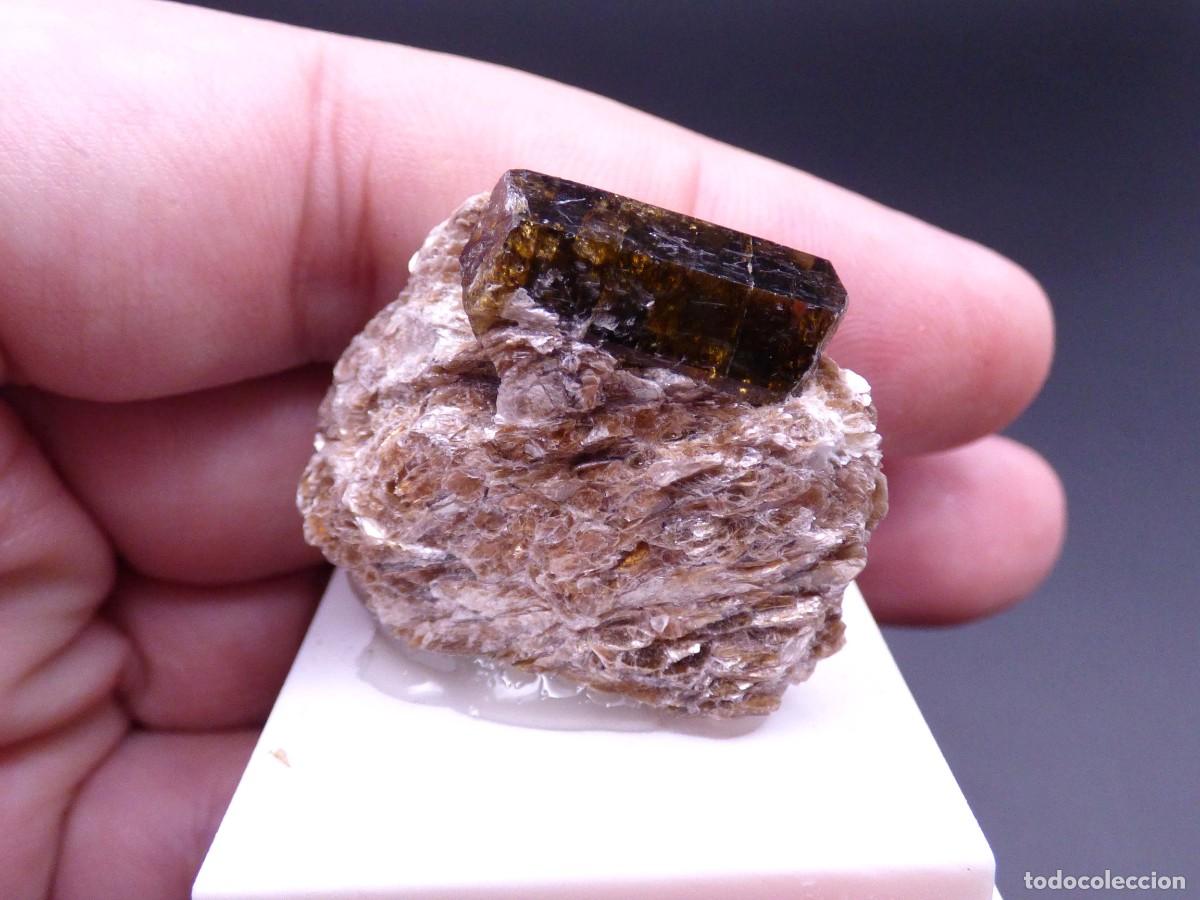 Coleccionismo de minerales: ✅FDMINERALS✅ ⚒️ TURMALINA DRAVITA ⚒️ Brumado, Bahia, Brasil - L+49