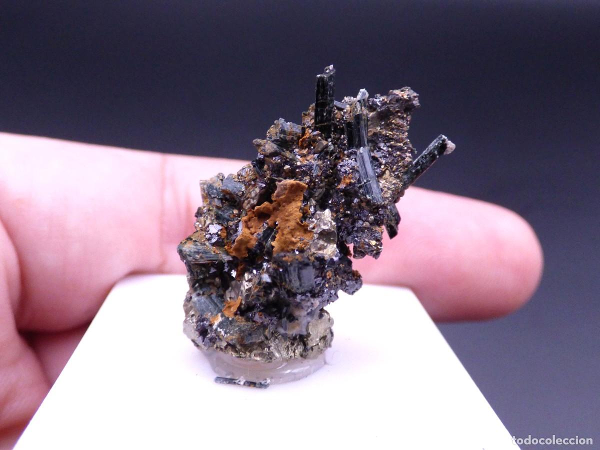 Coleccionismo de minerales: ✅FDMINERALS✅ ⚒️ HEDEMBERGITA ⚒️ Valuengo, Badajoz, Extremadura, Espa&ntilde;a - L+58
