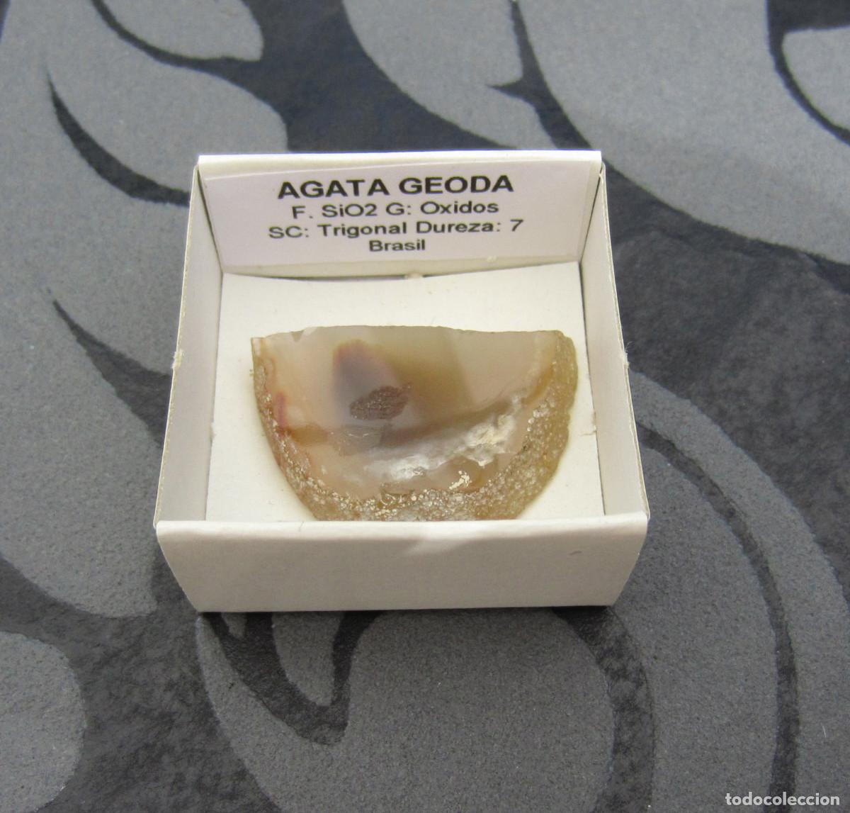 Coleccionismo de minerales: MINERAL AGATA SECCION DE GEODA MINERALES EN CAJA 4X4 CM