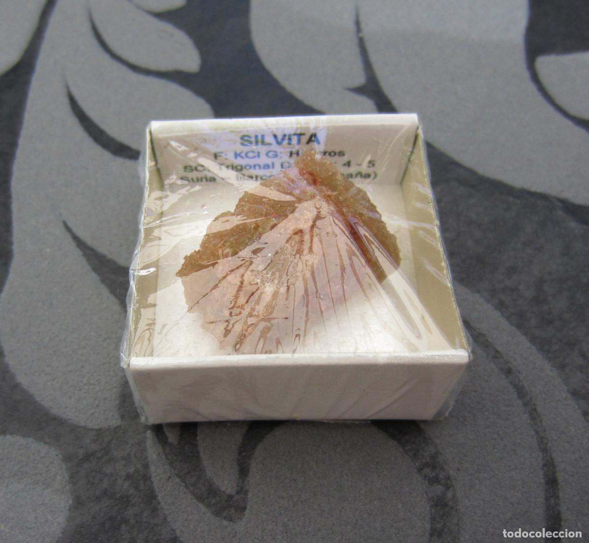 Coleccionismo de minerales: MINERAL SILVITA MINERALES EN CAJA 4X4 CM