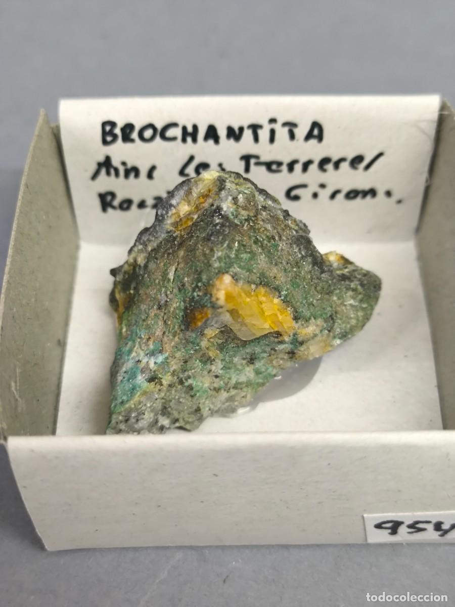 Coleccionismo de minerales: BROCHANTITA - MINERAL. 4x4. Girona