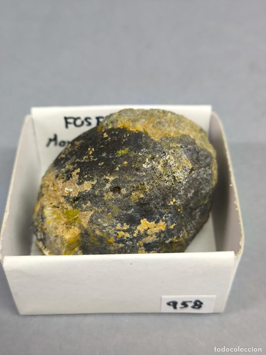 Coleccionismo de minerales: FOSFORITA - MINERAL. C&aacute;ceres. 4x4