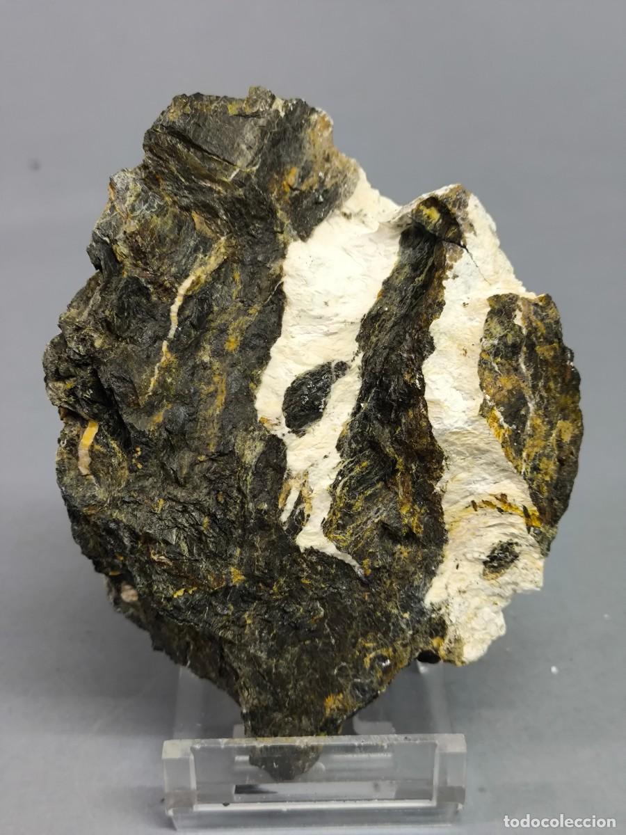 Coleccionismo de minerales: HUNTITA - MINERAL . Barcelona