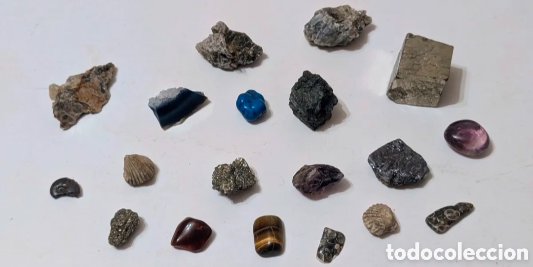Coleccionismo de minerales: Lote de f&oacute;siles y Minerales