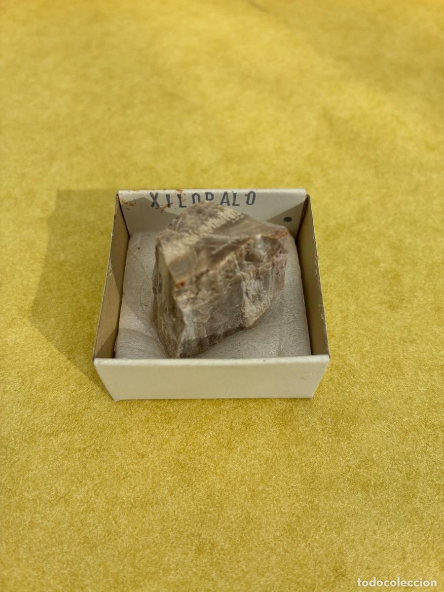 Coleccionismo de minerales: MINERAL XILOPALO MINERALES EN CAJAS DE 4x4 CM