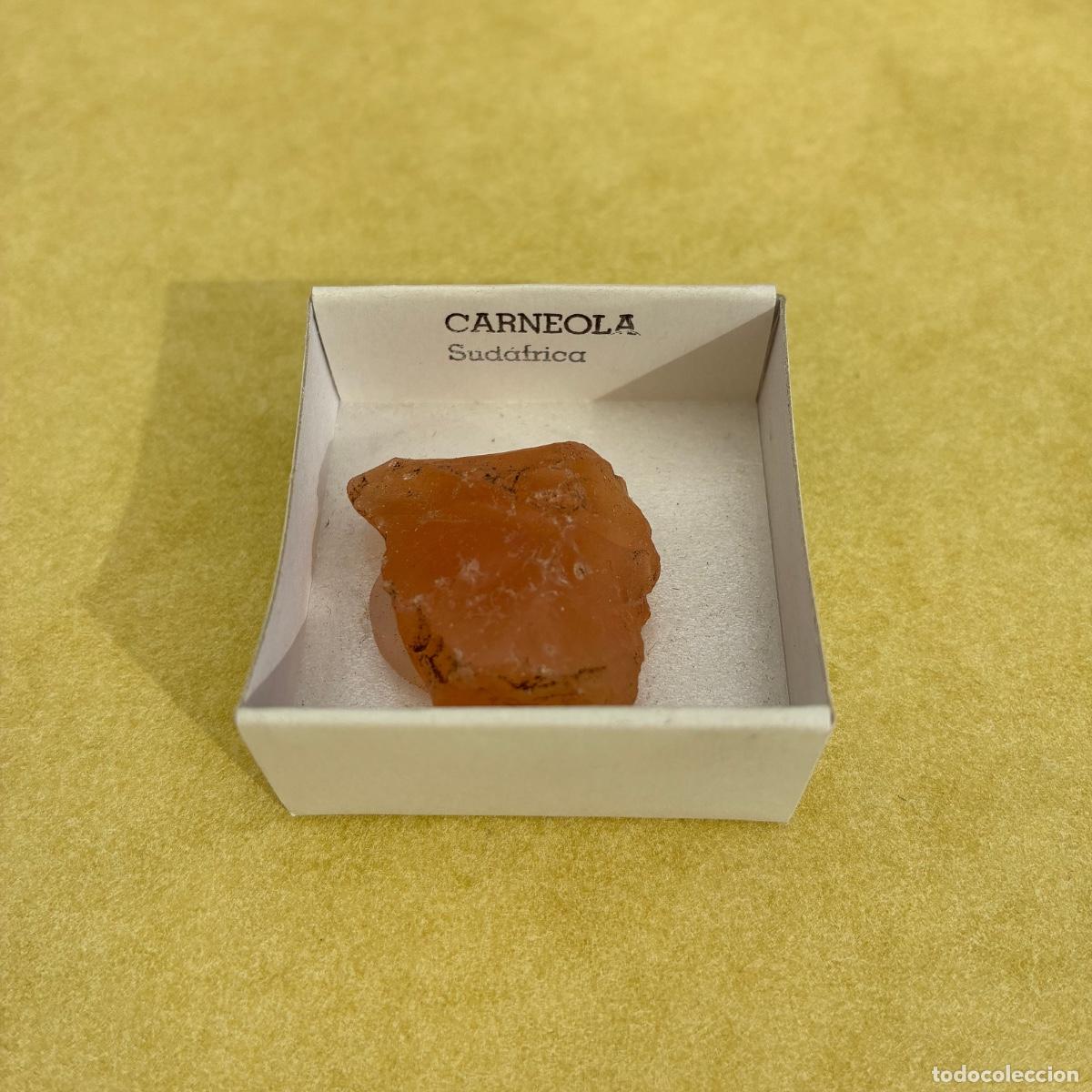 Coleccionismo de minerales: MINERAL CARNEOLA MINERALES EN CAJAS DE 4x4 CM
