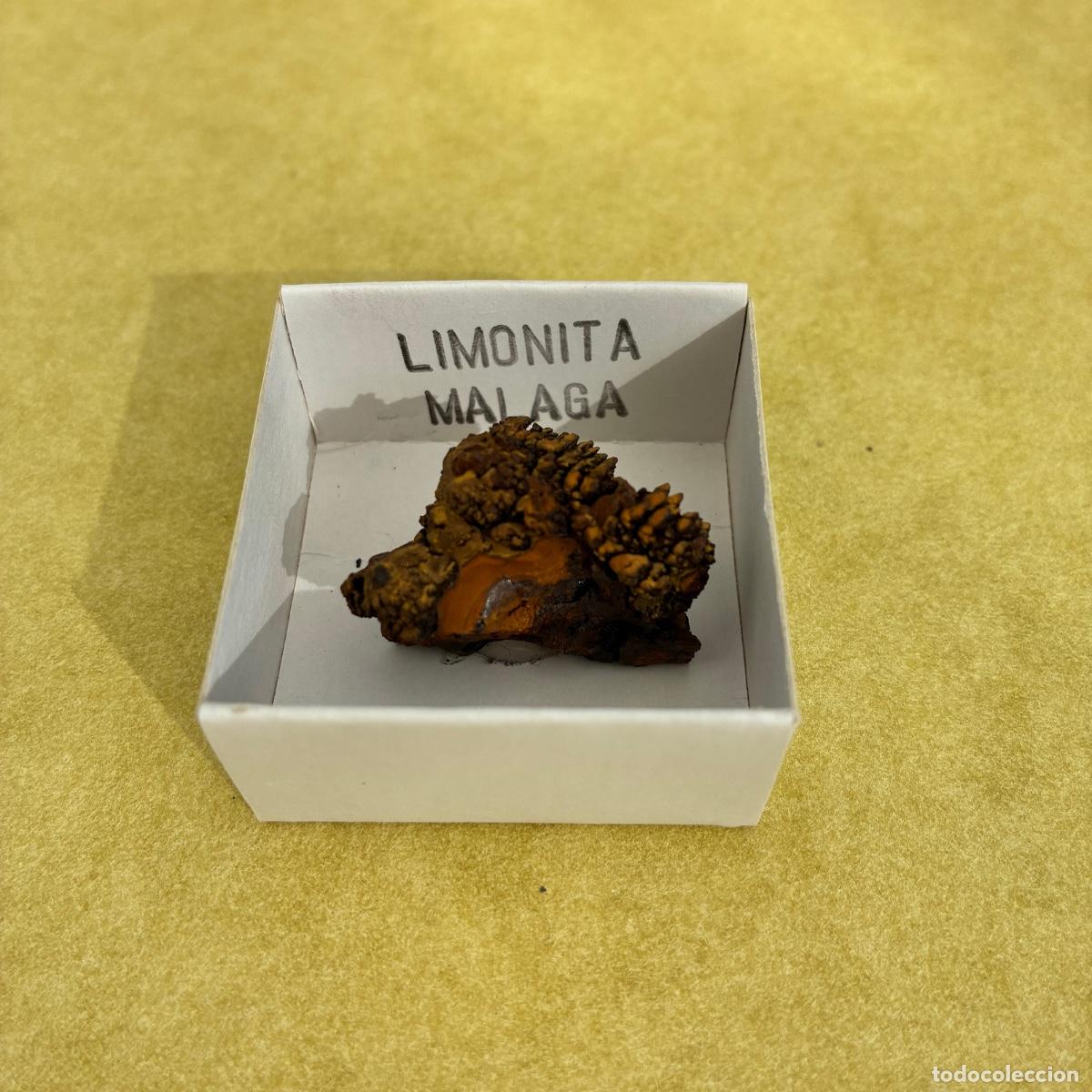 Coleccionismo de minerales: MINERAL LIMONITA MINERALES EN CAJAS DE 4x4 CM