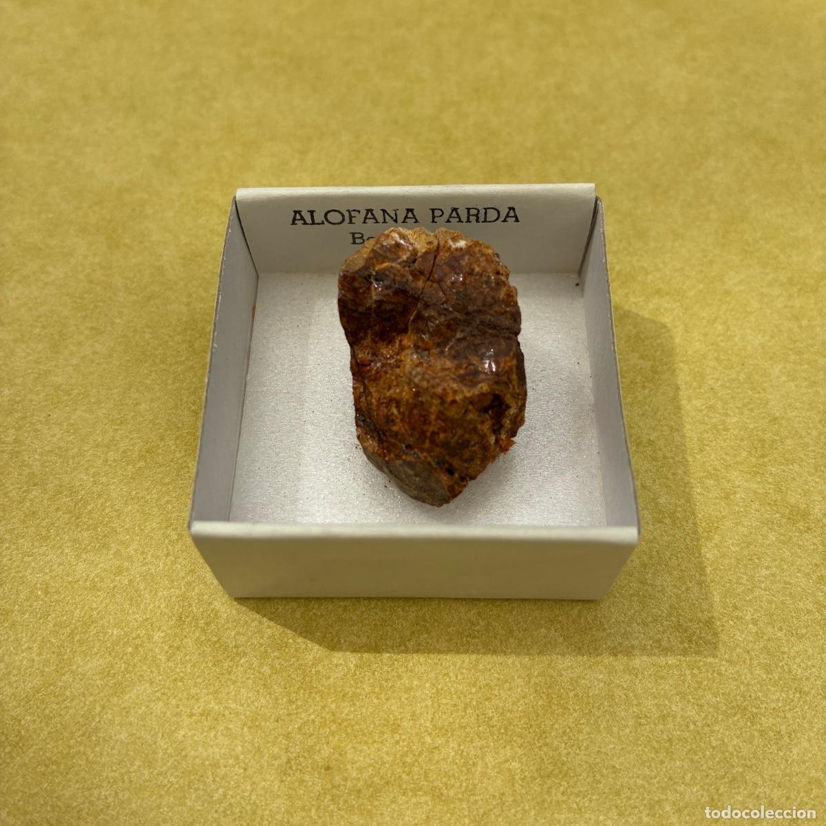Coleccionismo de minerales: MINERAL ALOFANA PARDA MINERALES EN CAJAS DE 4x4CM
