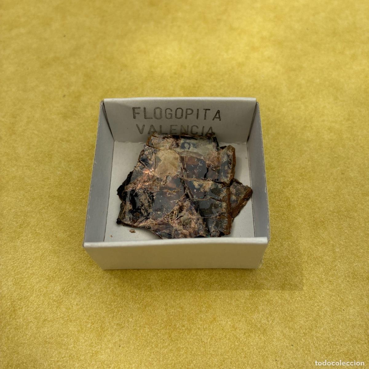 Coleccionismo de minerales: MINERAL FILOGOPITA MINERALES EN CAJAS DE 4x4CM