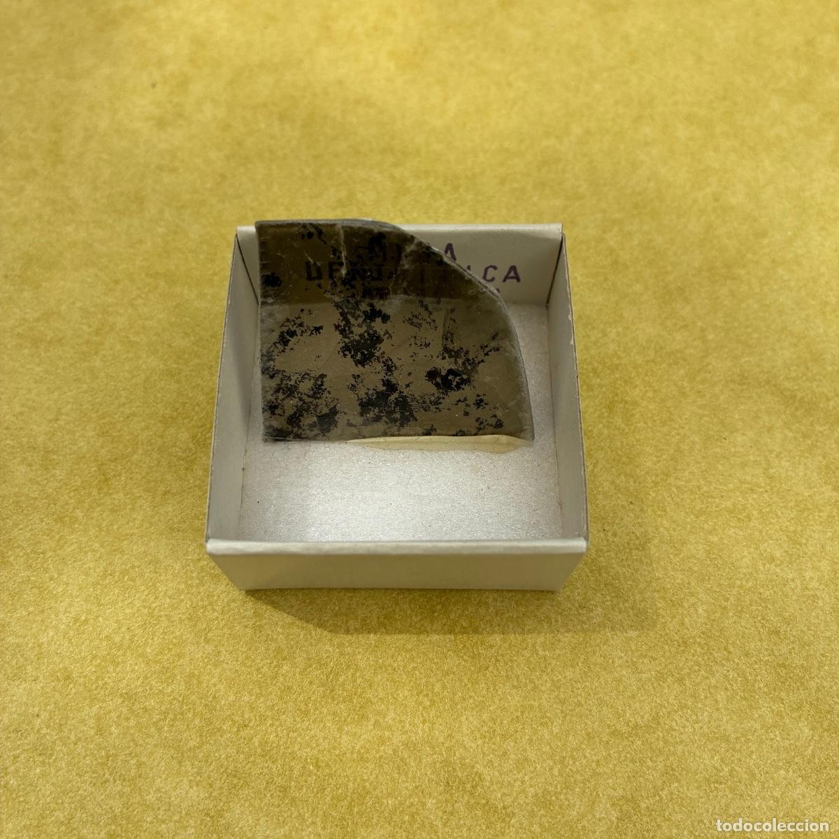 Coleccionismo de minerales: MINERAL MICA DENTRITICA MINERALES EN CAJAS DE 4x4CM