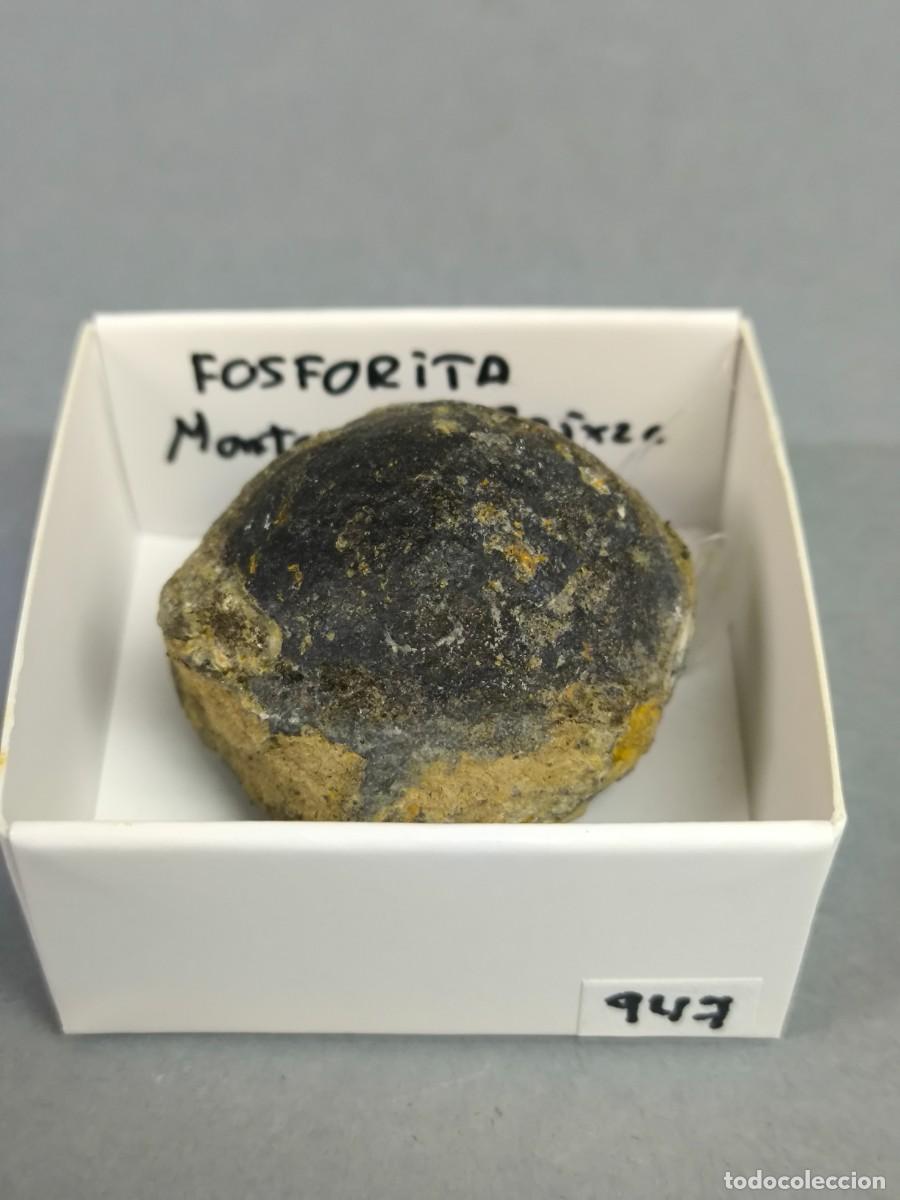 Coleccionismo de minerales: FOSFORITA . N&oacute;dulo- MINERAL. Barcelona. 4x4