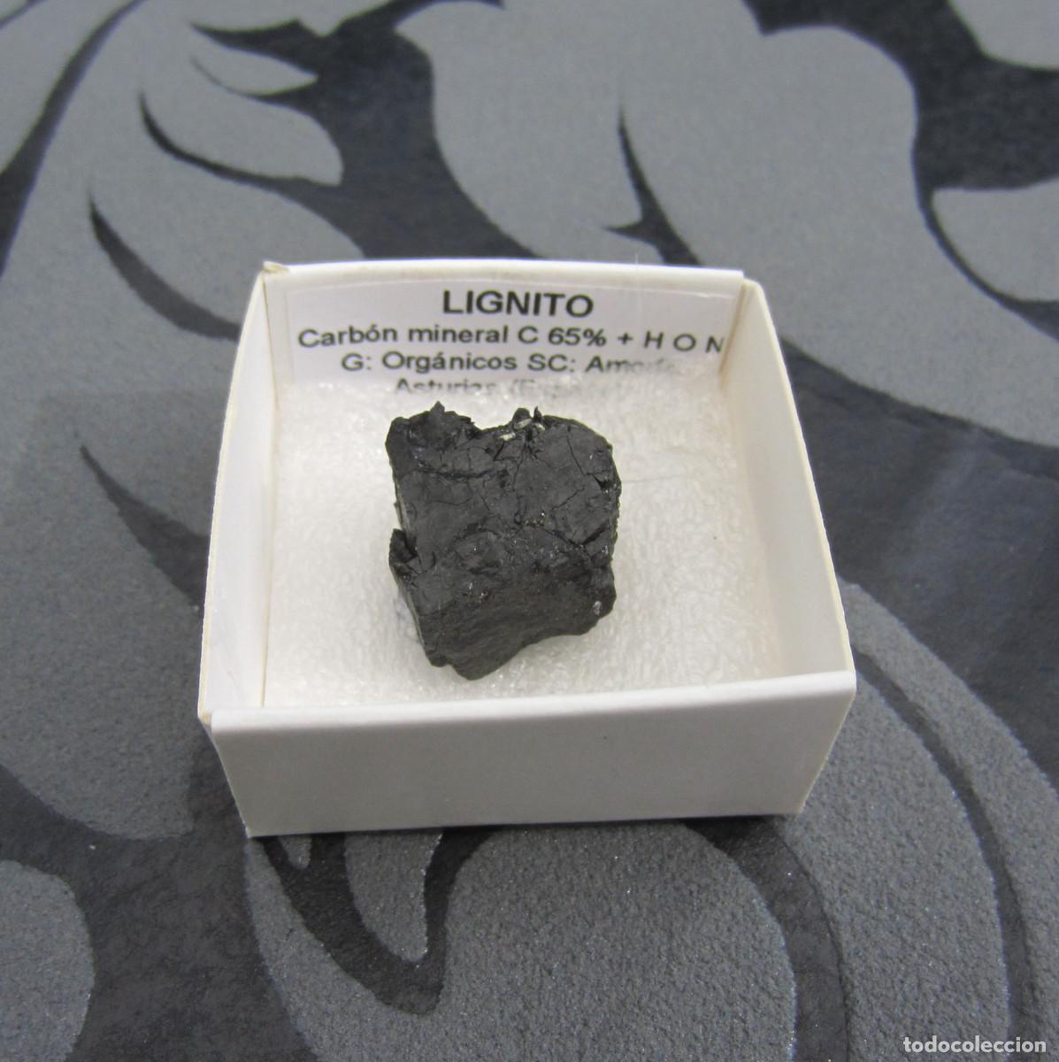 Coleccionismo de minerales: MINERAL LIGNITO MINERALES EN CAJA 4X4 CM