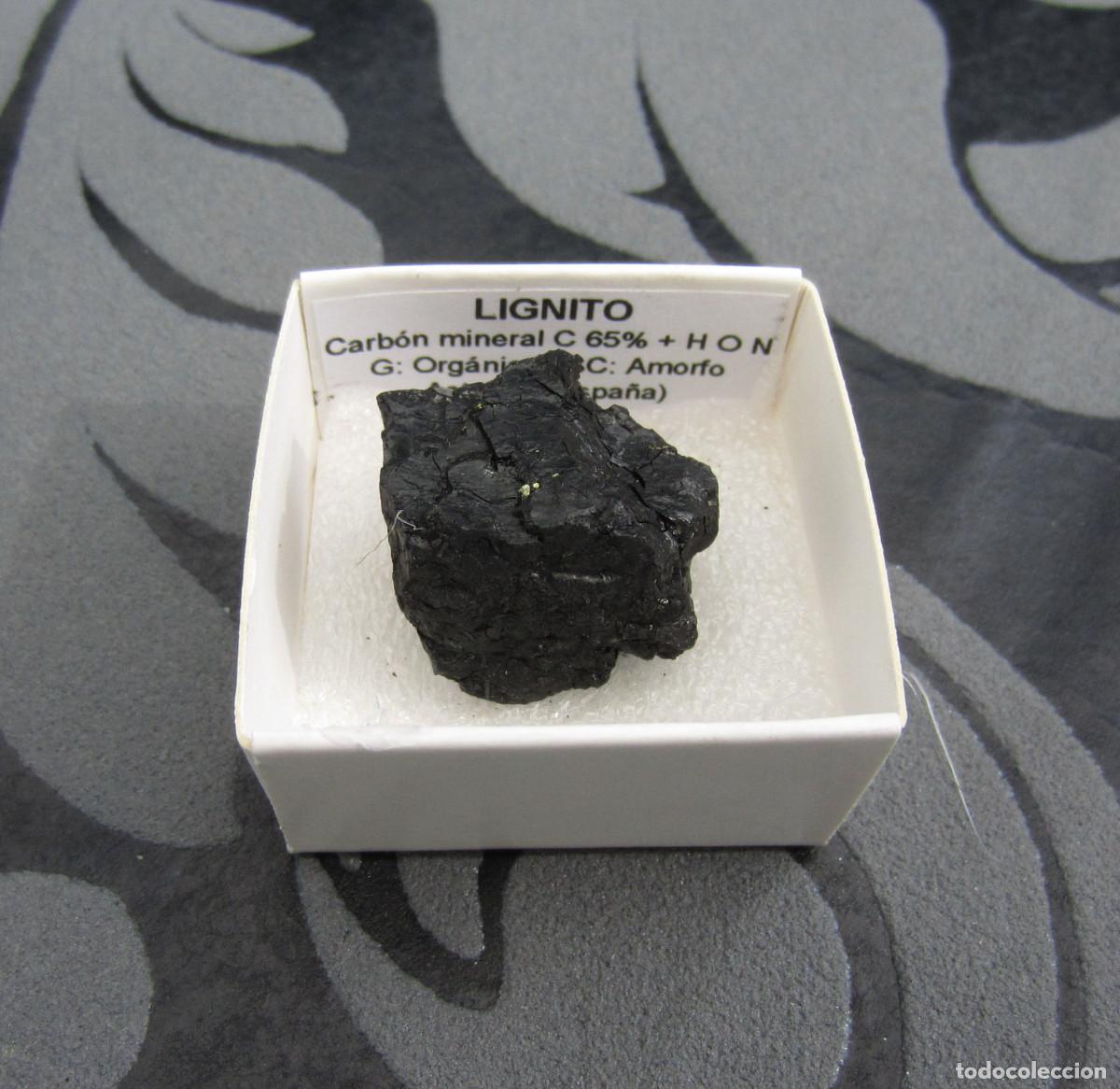 Coleccionismo de minerales: MINERAL LIGNITO MINERALES EN CAJA 4X4 CM