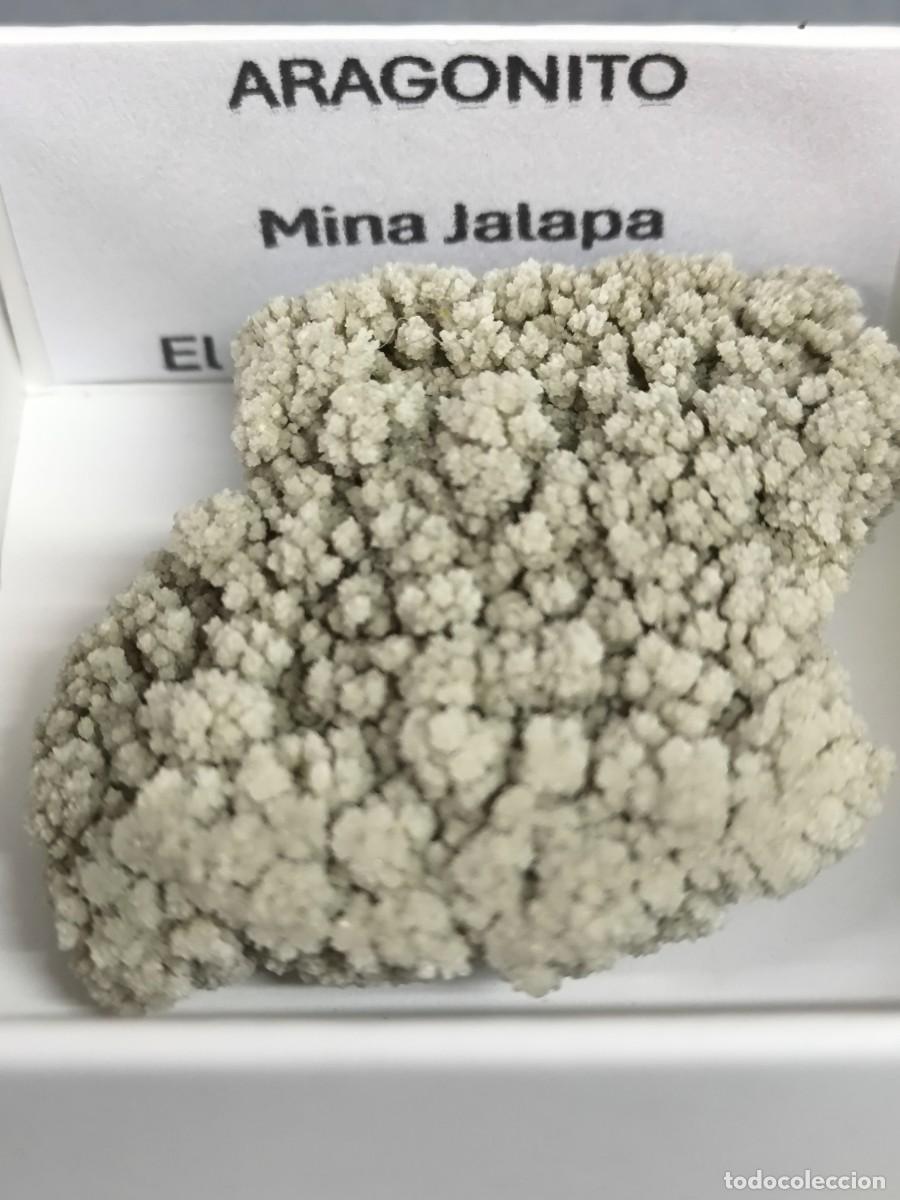 Coleccionismo de minerales: ARAGONITO - MINERAL. Tarragona. 4x4
