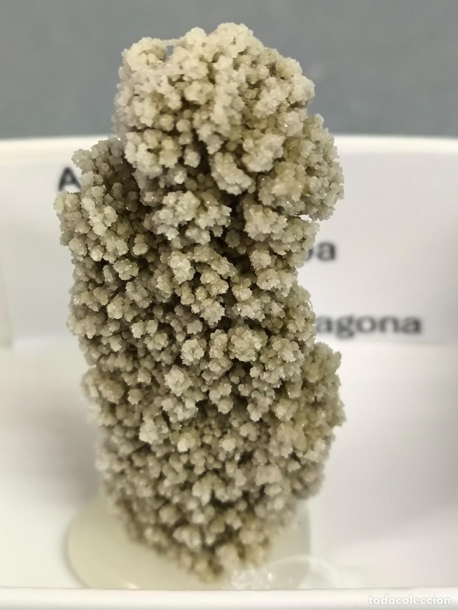 Coleccionismo de minerales: ARAGONITO - MINERAL. Tarragona. 4x4