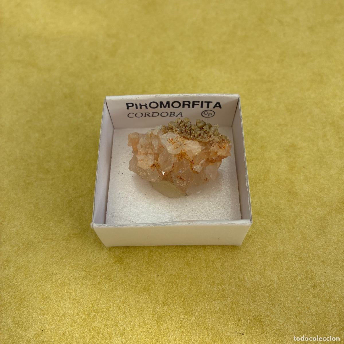 Coleccionismo de minerales: MINERAL PIROMORFITA MINERALES EN CAJA DE 4x4CM