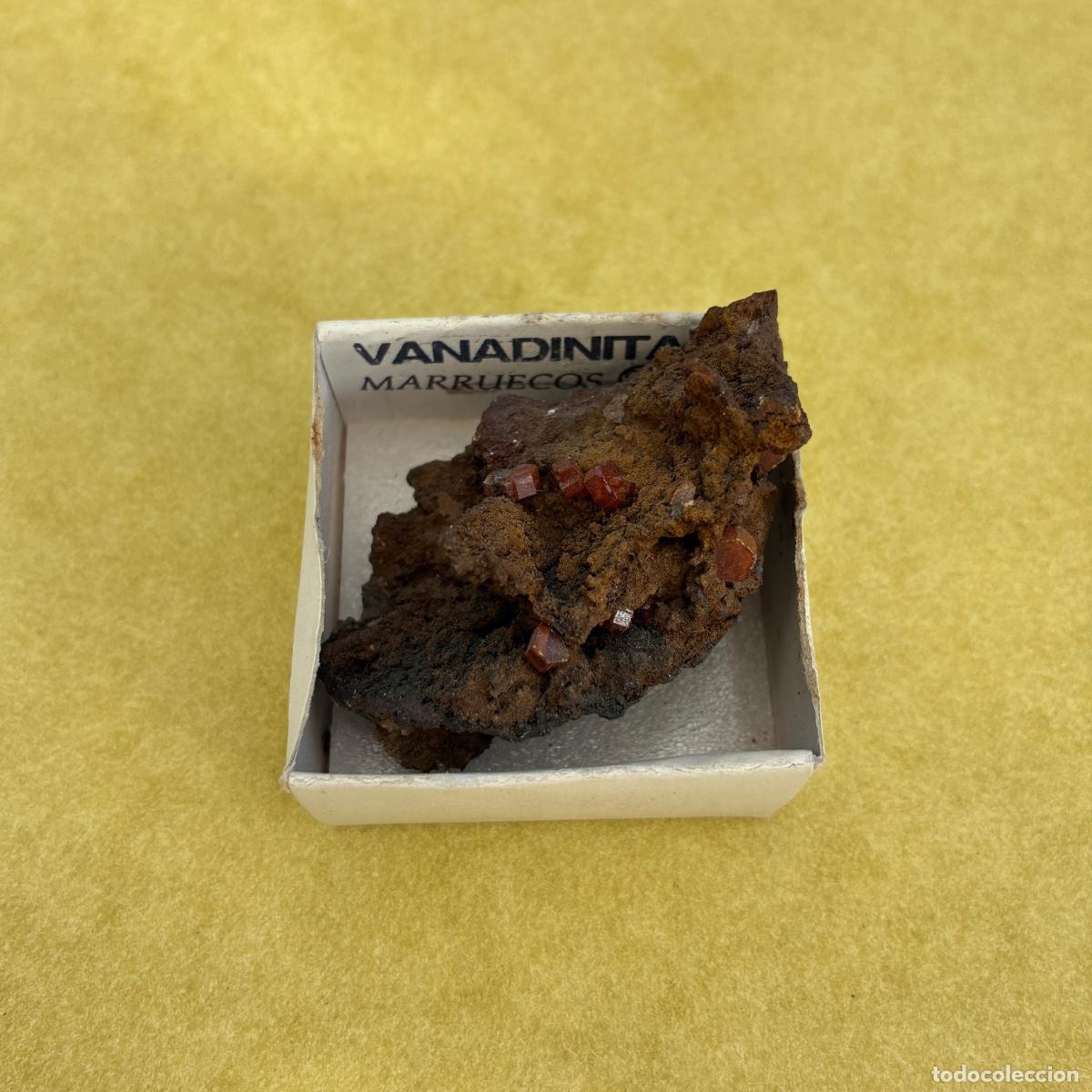 Coleccionismo de minerales: MINERAL VANADINITA MINERALES EN CAJA DE 4x4CM