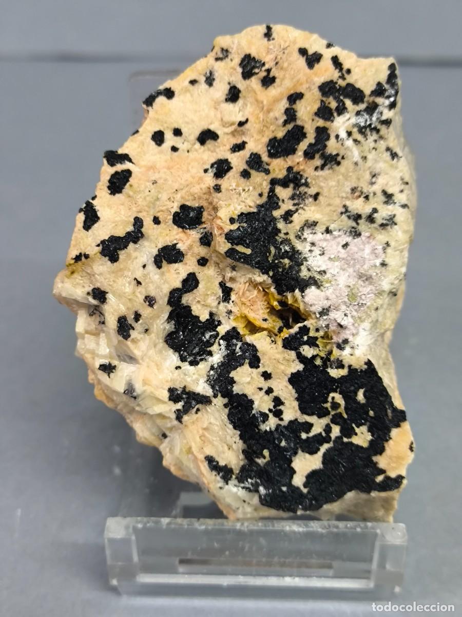 Coleccionismo de minerales: ERITRINA + HETEROGENITA -MINERAL. Tarragona