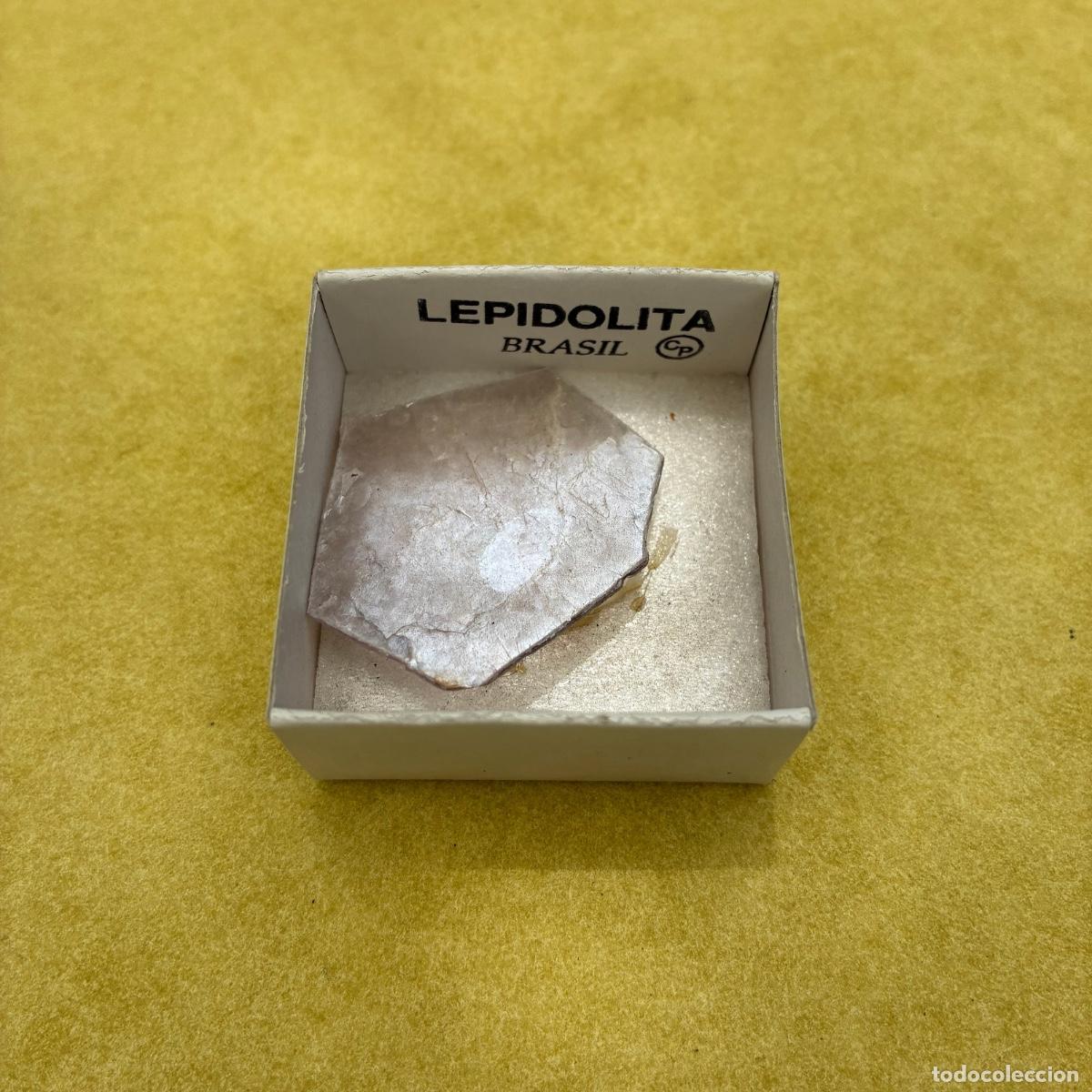 Coleccionismo de minerales: MINERAL LEPIDOLITA MINERALES EN CAJAS DE 4x4CM