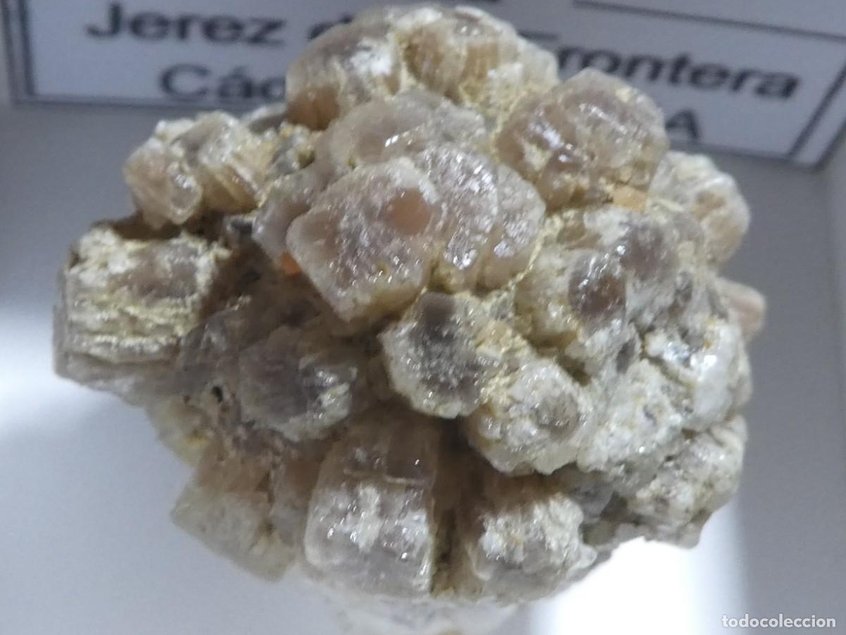 Coleccionismo de minerales: (087) ARAGONITO. JEREZ DE LA FRONTERA, CADIZ.