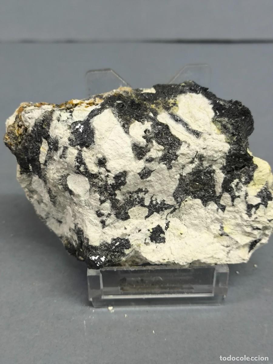 Coleccionismo de minerales: CERUSITA + GALENA - MINERAL. Tarragona
