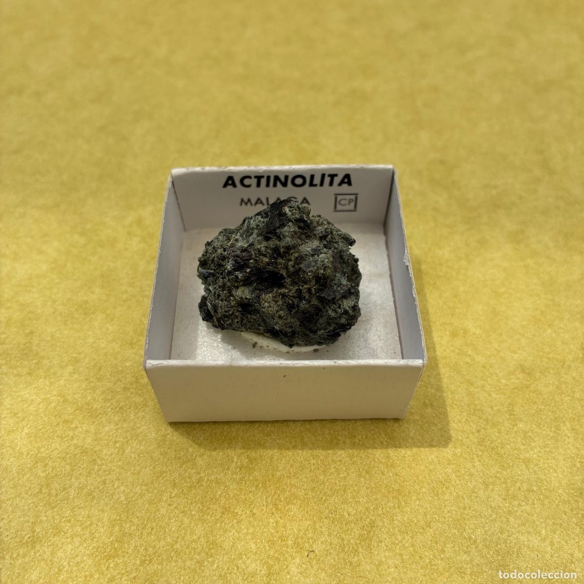 Coleccionismo de minerales: MINERAL ACTINOLITA MINERALES EN CAJAS DE 4x4CM