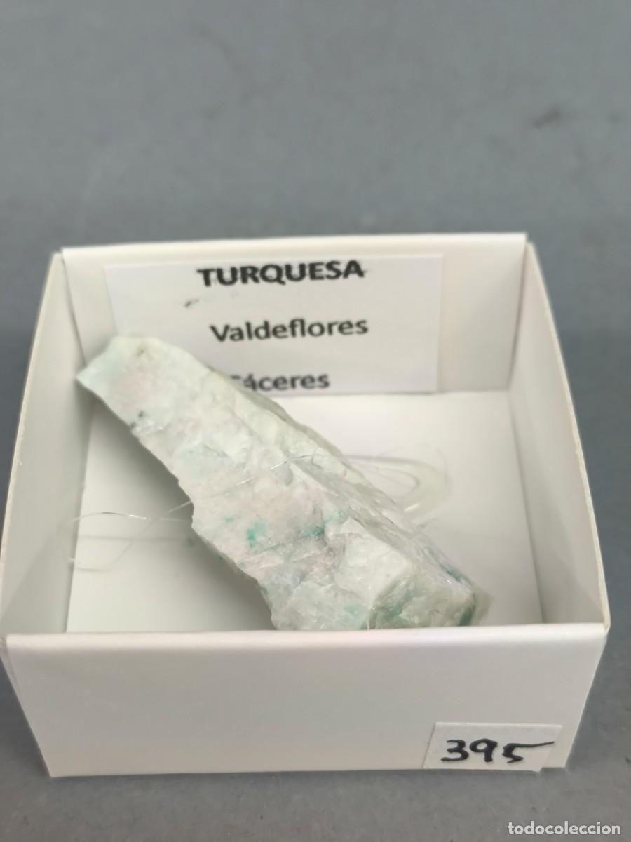 Coleccionismo de minerales: TURQUESA (Montebrasita) - MINERAL. 4X4