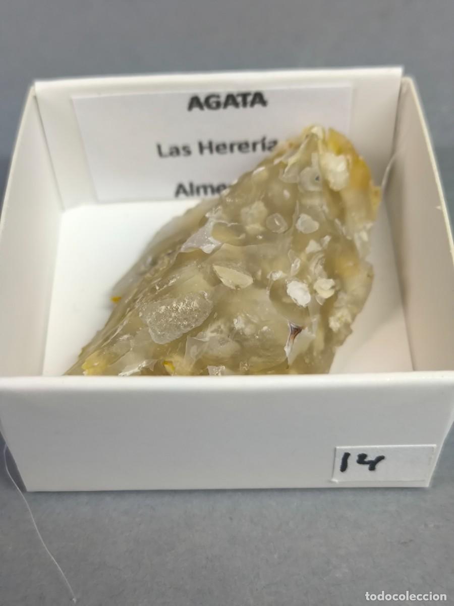 Coleccionismo de minerales: AGATA - MINERAL. Almer&iacute;a. 4x4