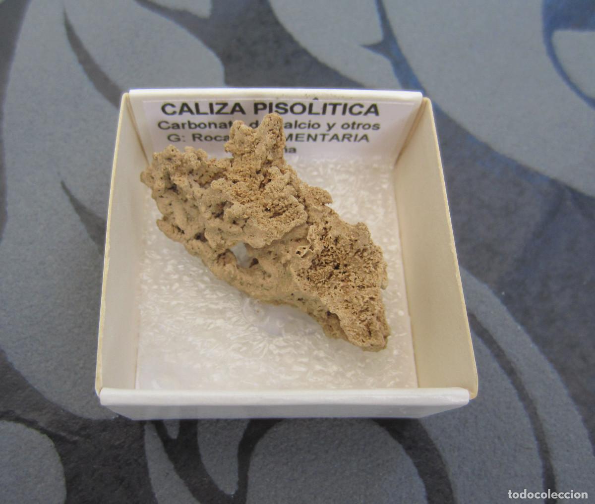 Coleccionismo de minerales: MINERAL ROCAS CALIZA PISOLITICA MINERALES EN CAJA 4X4 CM