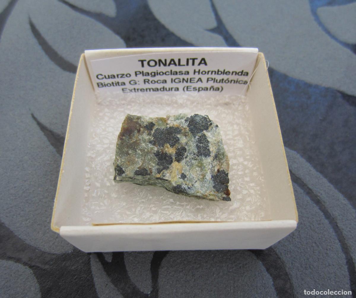 Coleccionismo de minerales: MINERAL ROCAS TONALITA MINERALES EN CAJA 4X4 CM