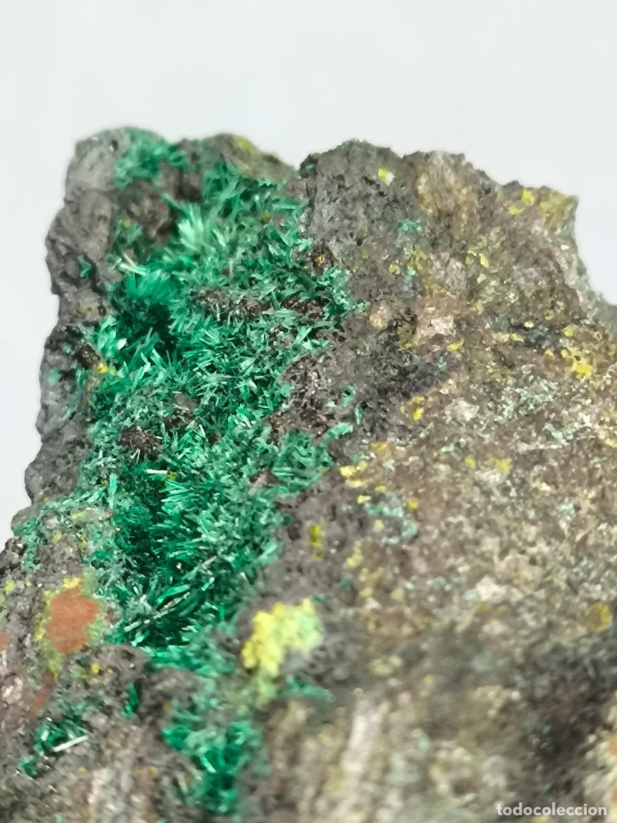 Coleccionismo de minerales: ATACAMITA - MINERAL. Almer&iacute;a. 4x4