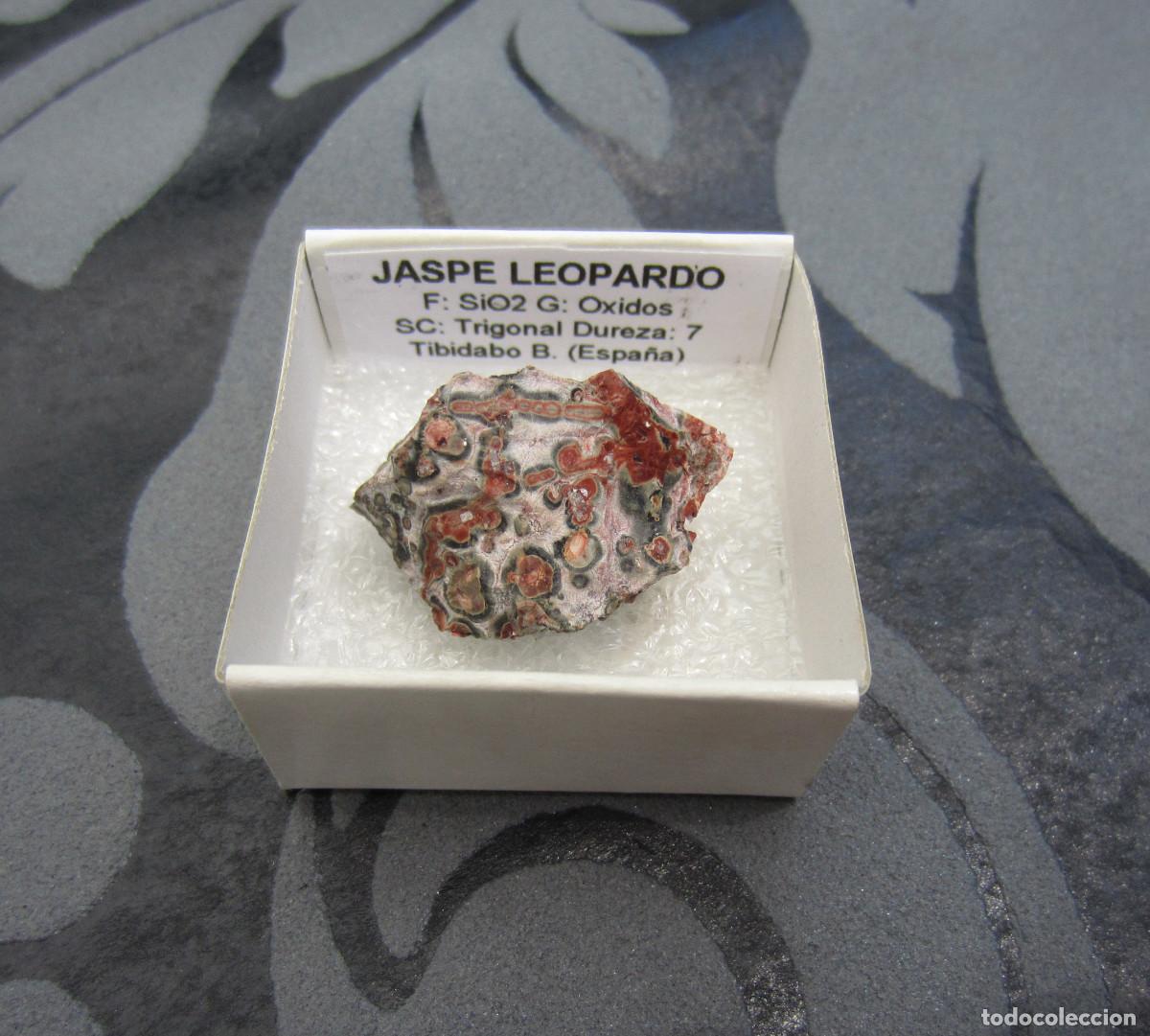 Coleccionismo de minerales: MINERAL JASPE LEOPARDO MINERALES EN CAJA 4X4 CM