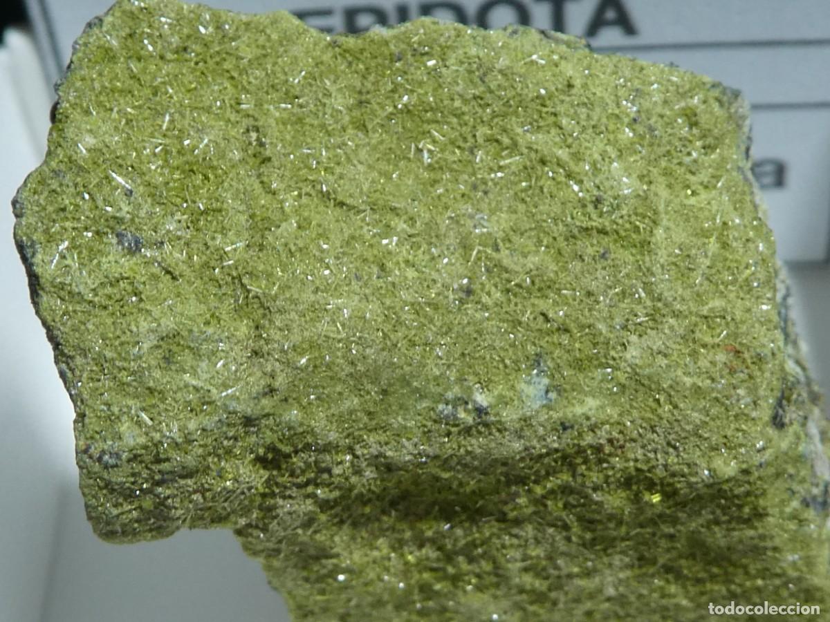 Coleccionismo de minerales: (299) EPIDOTA, ANTEQUERA, MALAGA, ESPA&Ntilde;A.