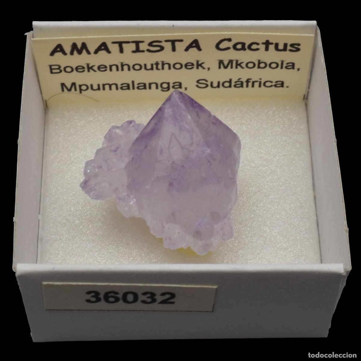 Coleccionismo de minerales: AMATISTA Cactus (Boekenhouthoek, Mkobola, Mpumalanga, Sudafrica) #36032