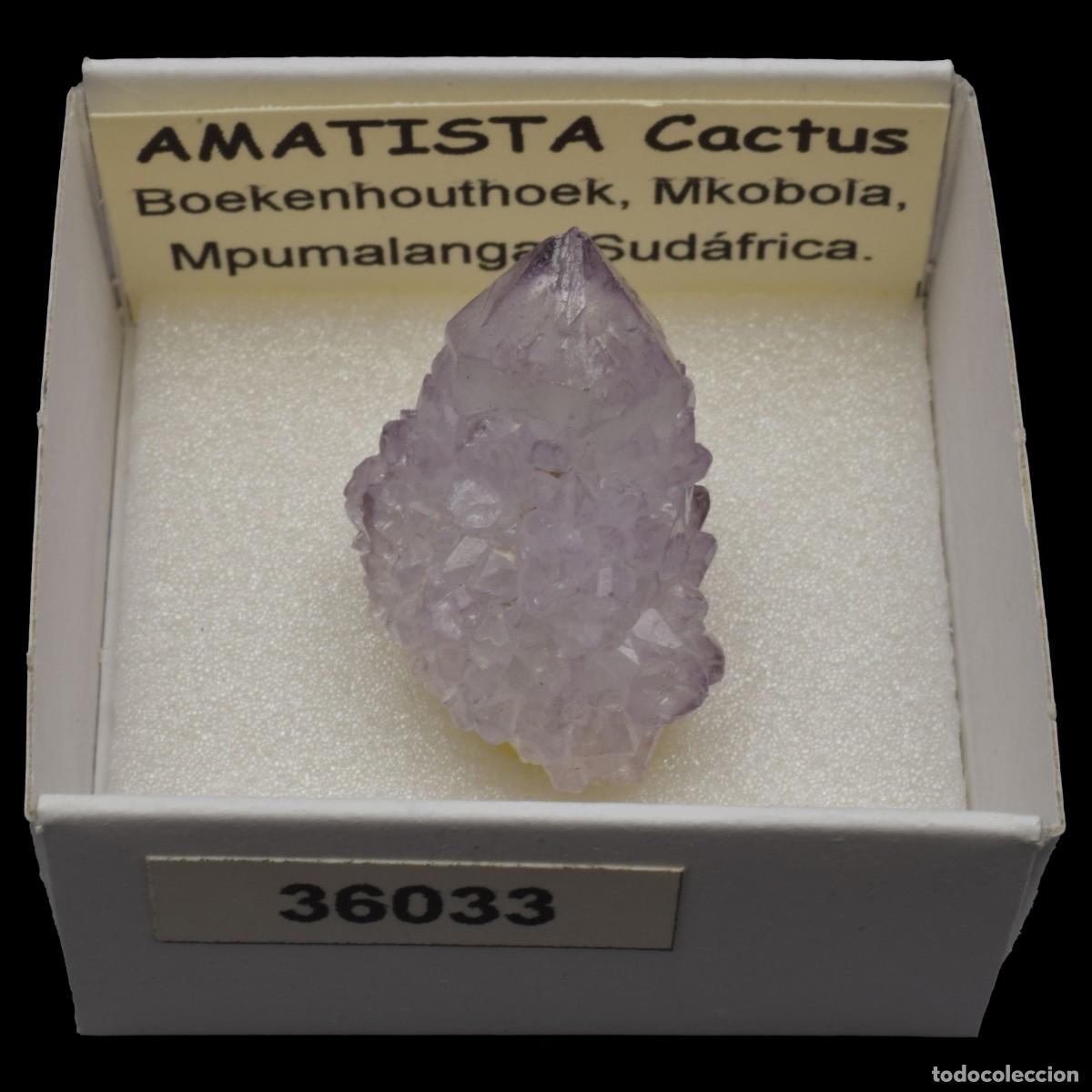 Coleccionismo de minerales: AMATISTA Cactus (Boekenhouthoek, Mkobola, Mpumalanga, Sudafrica) #36033