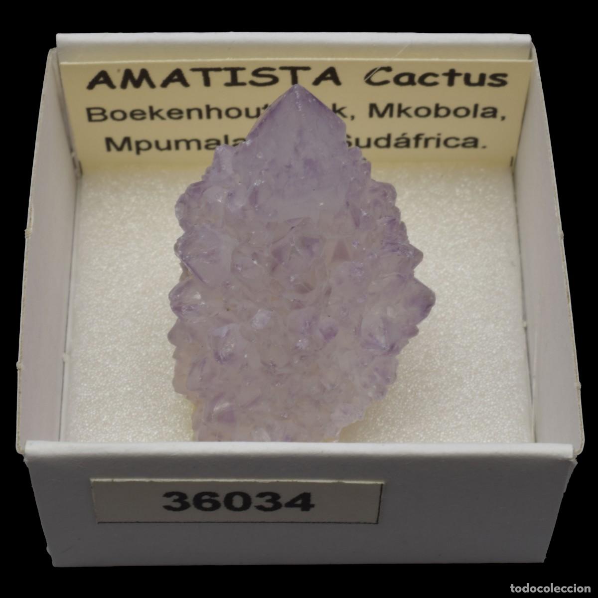 Coleccionismo de minerales: AMATISTA Cactus (Boekenhouthoek, Mkobola, Mpumalanga, Sudafrica) #36034
