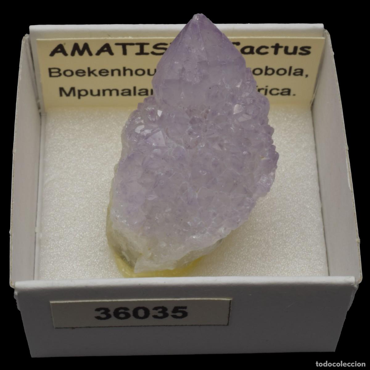 Coleccionismo de minerales: AMATISTA Cactus (Boekenhouthoek, Mkobola, Mpumalanga, Sudafrica) #36035