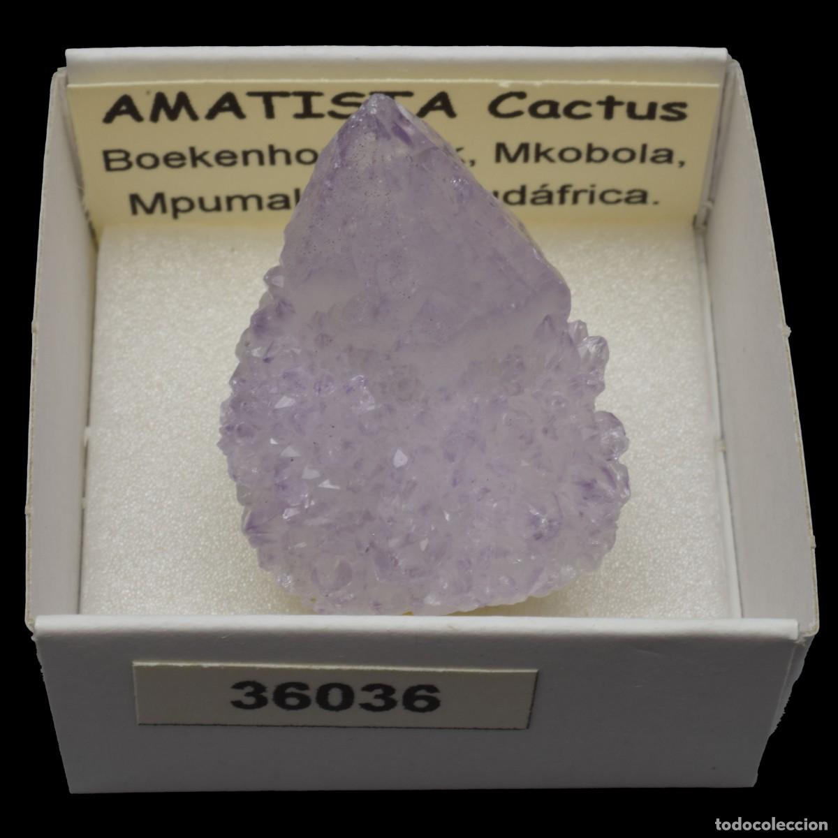 Coleccionismo de minerales: AMATISTA Cactus (Boekenhouthoek, Mkobola, Mpumalanga, Sudafrica) #36036