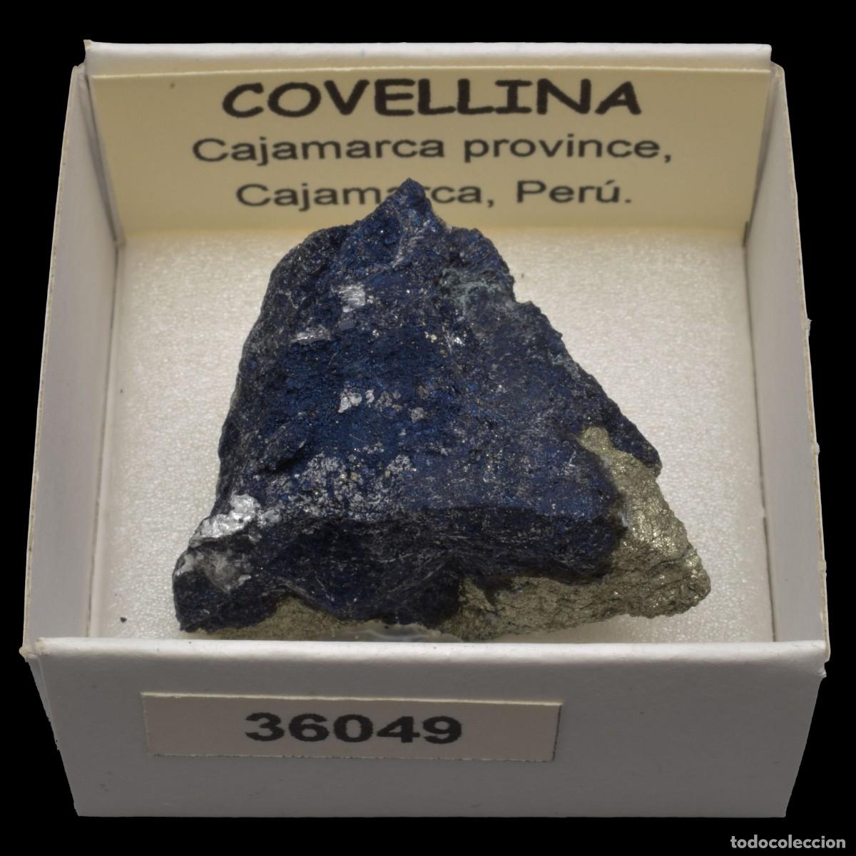 Coleccionismo de minerales: COVELLINA (Cajamarca province, Cajamarca, Peru) #36049