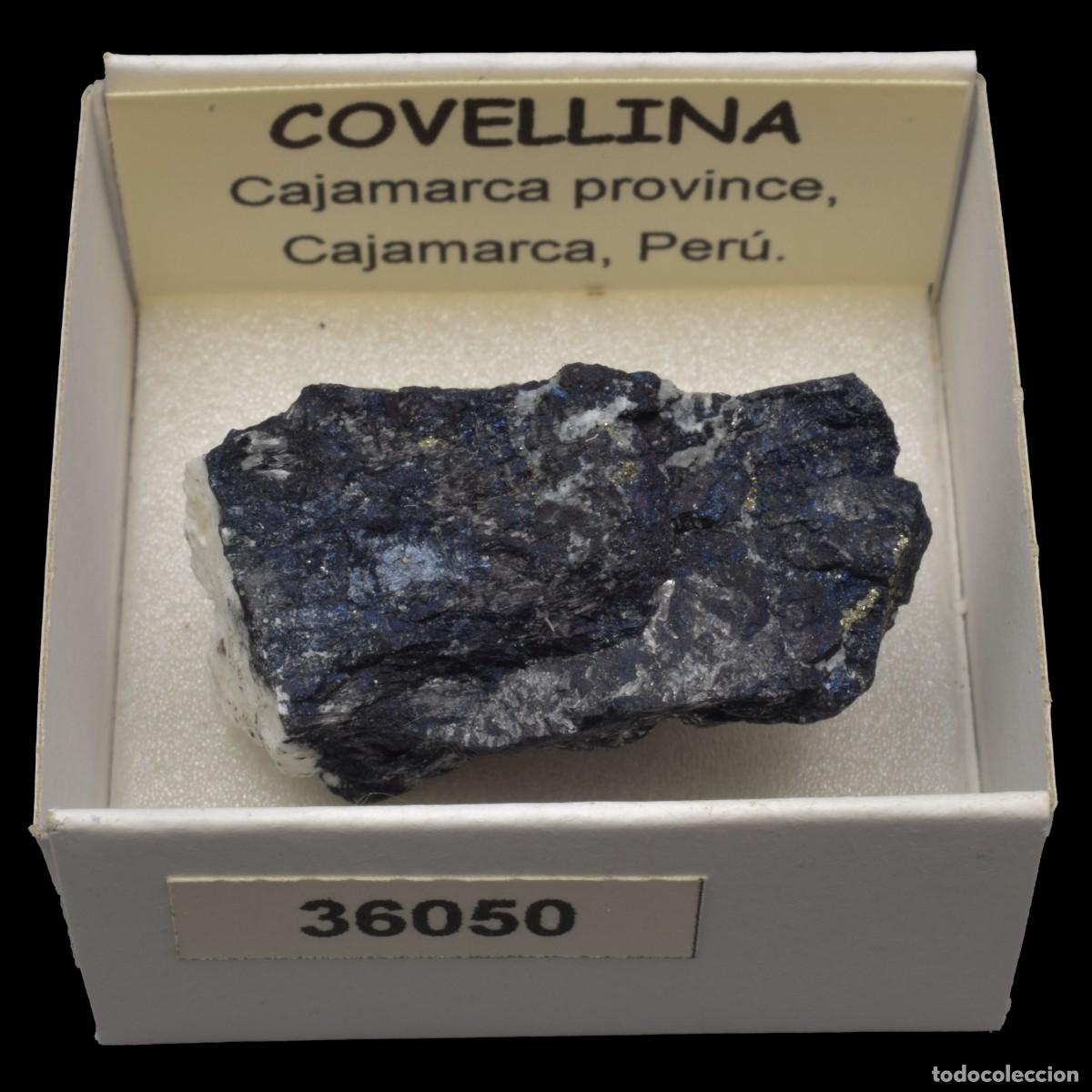 Coleccionismo de minerales: COVELLINA (Cajamarca province, Cajamarca, Peru) #36050