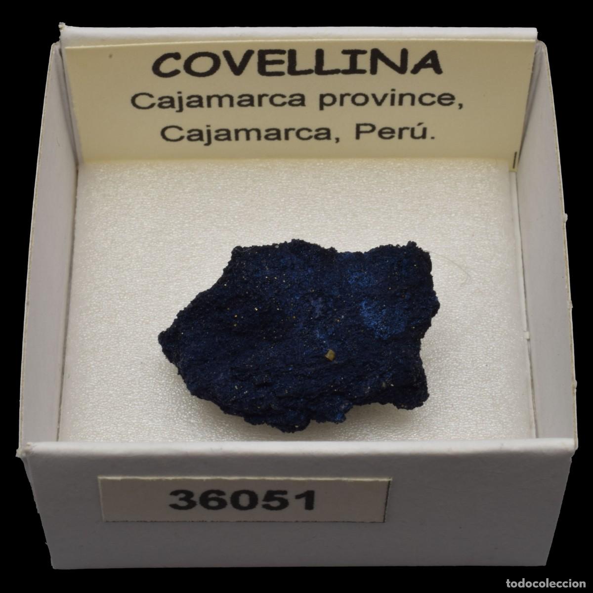 Coleccionismo de minerales: COVELLINA (Cajamarca province, Cajamarca, Peru) #36051