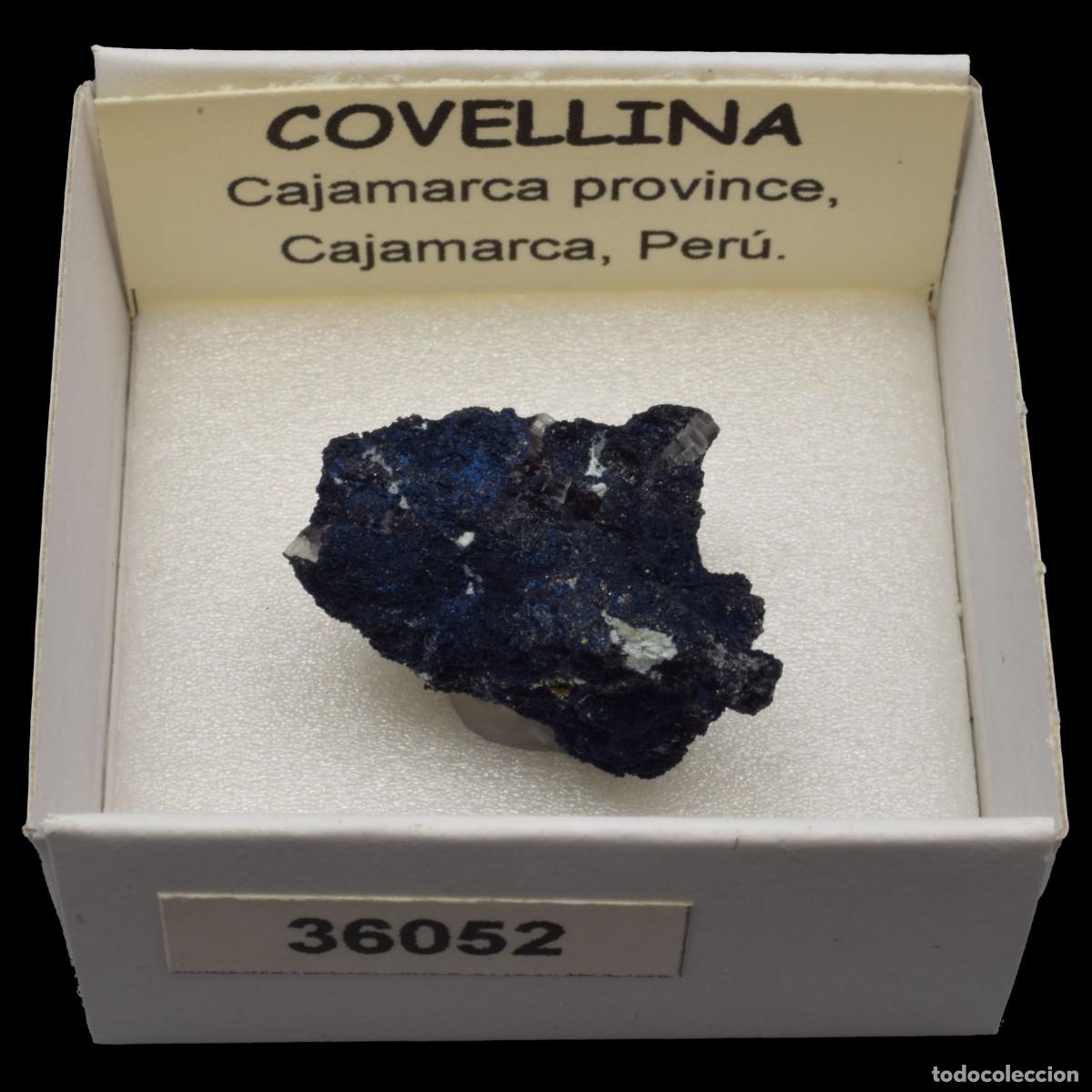 Coleccionismo de minerales: COVELLINA (Cajamarca province, Cajamarca, Peru) #36052