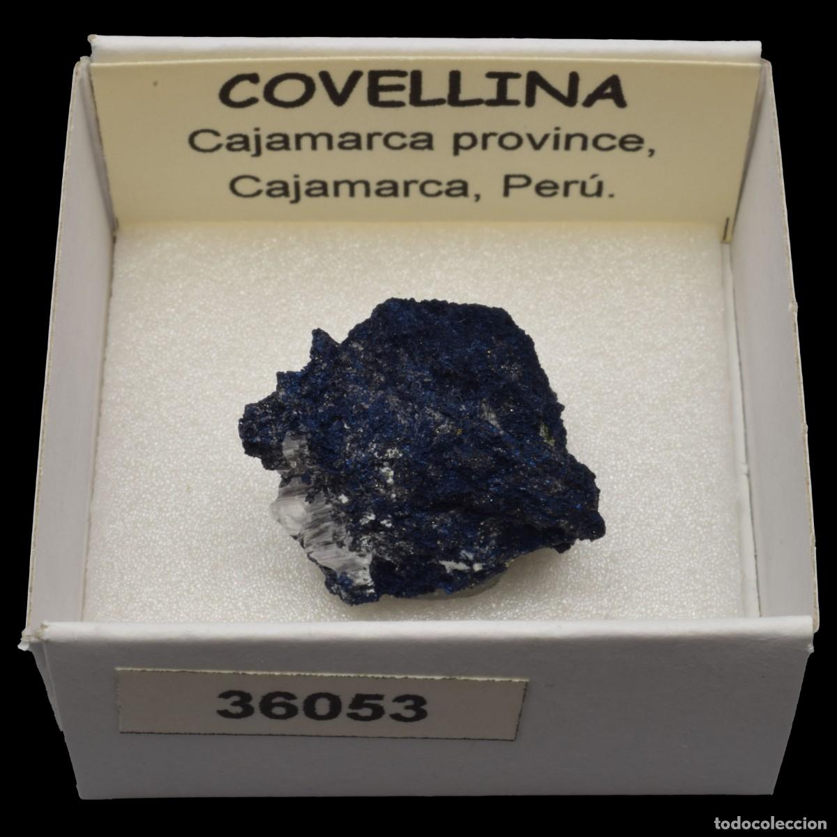 Coleccionismo de minerales: COVELLINA (Cajamarca province, Cajamarca, Peru) #36053