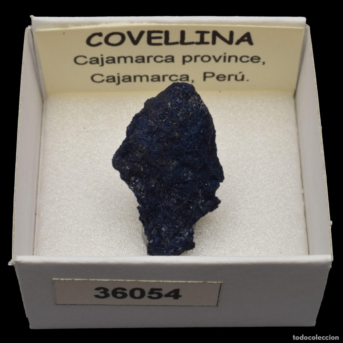 Coleccionismo de minerales: COVELLINA (Cajamarca province, Cajamarca, Peru) #36054