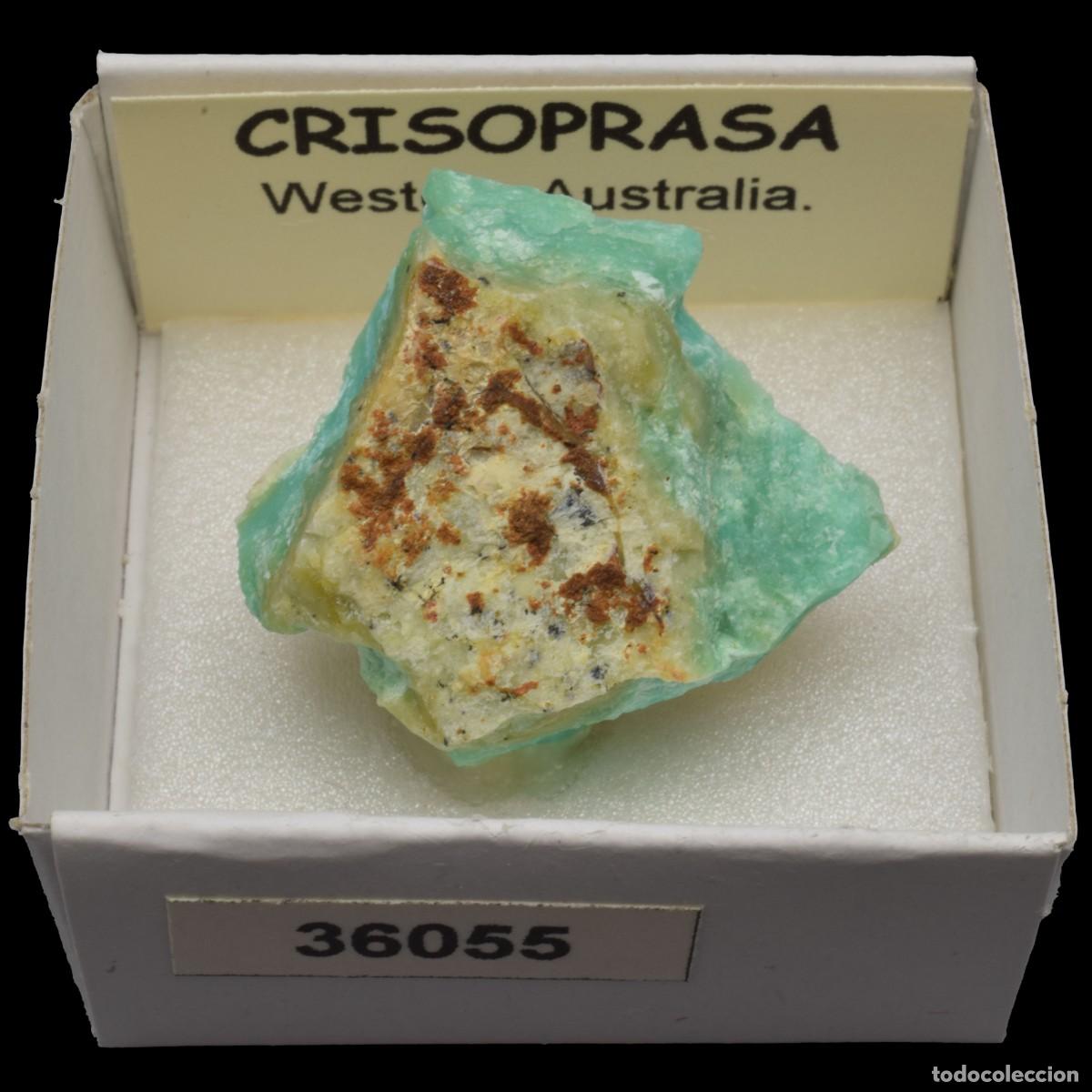 Coleccionismo de minerales: CRISOPRASA (Western Australia, Australia) #36055