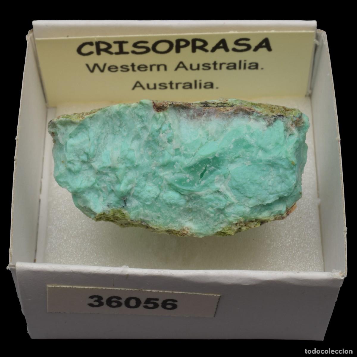 Coleccionismo de minerales: CRISOPRASA (Western Australia, Australia) #36056
