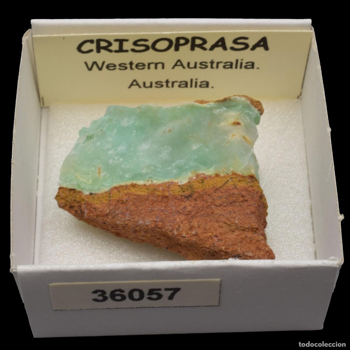 Coleccionismo de minerales: CRISOPRASA (Western Australia, Australia) #36057